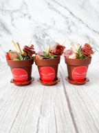 Garden Charcuterie Cups